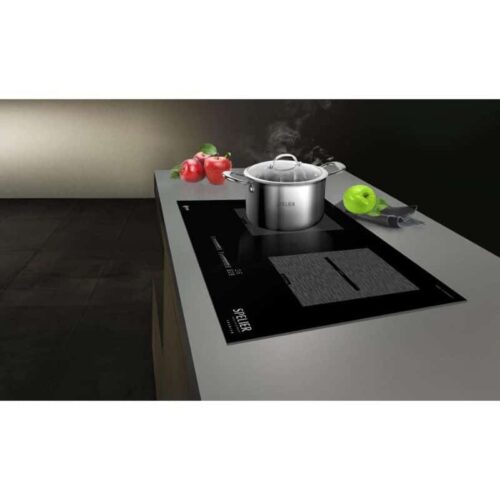 Ảnh thực tế Bếp từ đôi Spelier SPE- IC1088 EG