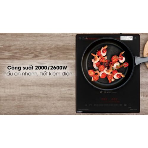 Công suất bếp từ mini Pramie PRMY-1108