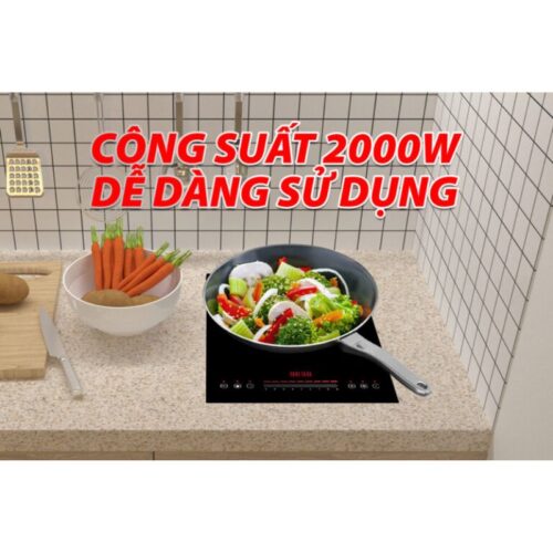 Bếp từ đơn Lorca TA 1018 PLus 4 Hình ảnh bếp từ đơn Lorca TA 1018 PLus