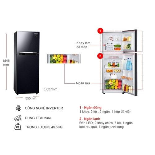 kich thuoc tu lanh 2 canh inverter 236 lit samsung tmf rt22m4032bu
