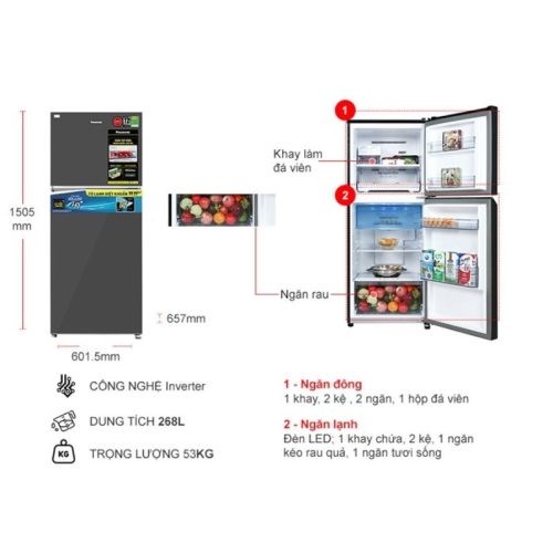 kich thuoc tu lanh 2 canh inverter 268 lit panasonic nr tv301vgmv