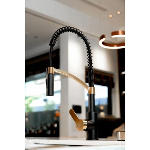 Vòi rửa bát Wasserwerk WK 3 black/matt gold, with spiral spring 700558 3 anh voi rua bat wasserwerk wk 3 black matt gold with spiral spring 700558