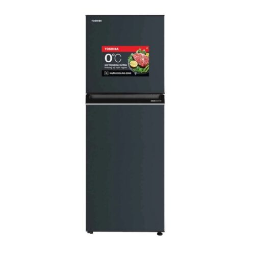 Tủ Lạnh 2 cánh Inverter 233 Lít Toshiba GR-RT303WE-PMV(52)
