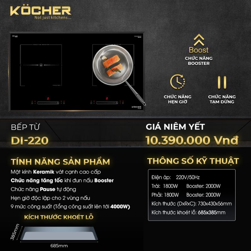 anh-bep-tu-2-vung-nau-kocher-di-220.jpg anh bep tu 2 vung nau kocher di 220