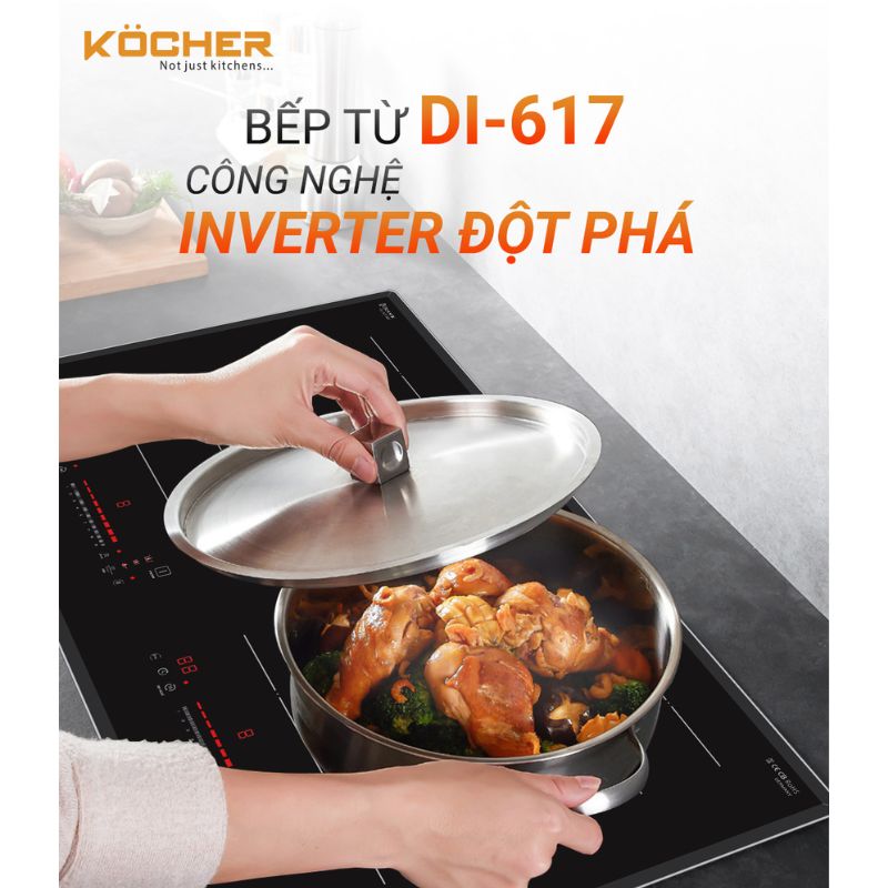 anh-bep-tu-2-vung-nau-kocher-di-617.jpg anh bep tu 2 vung nau kocher di 617