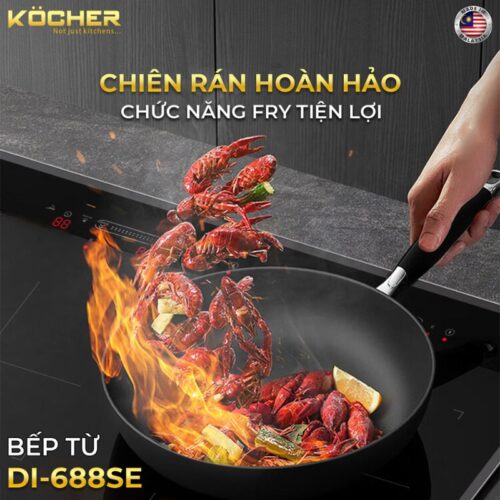 anh bep tu 2 vung nau kocher di 688se