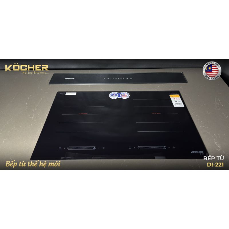 anh-that-bep-tu-2-vung-nau-kocher-di-221.jpg anh that bep tu 2 vung nau kocher di 221