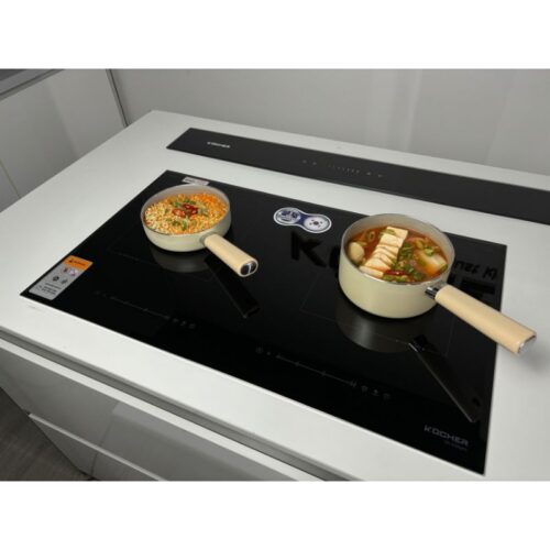 anh that bep tu 2 vung nau kocher di 330pro