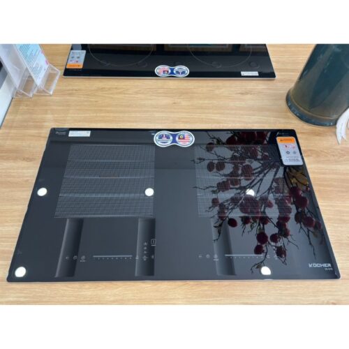 anh that bep tu 2 vung nau kocher di 615