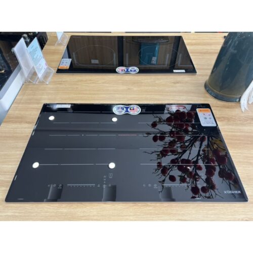 anh that bep tu 2 vung nau kocher di 616plus