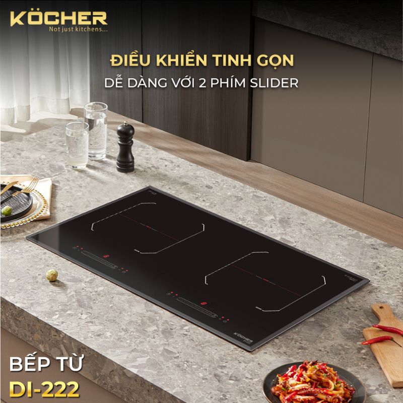 bang-dieu-khien-bep-tu-2-vung-nau-kocher-di-222.jpg bang dieu khien bep tu 2 vung nau kocher di 222
