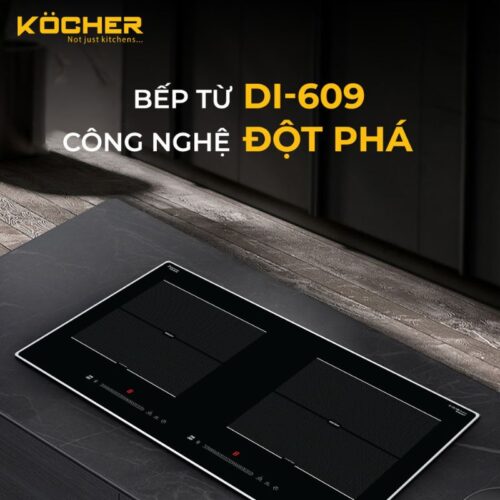 cong nghe bep tu 2 vung nau kocher di 609