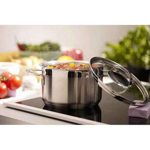 hinh anh bep dien tu canzy cz bmix701t