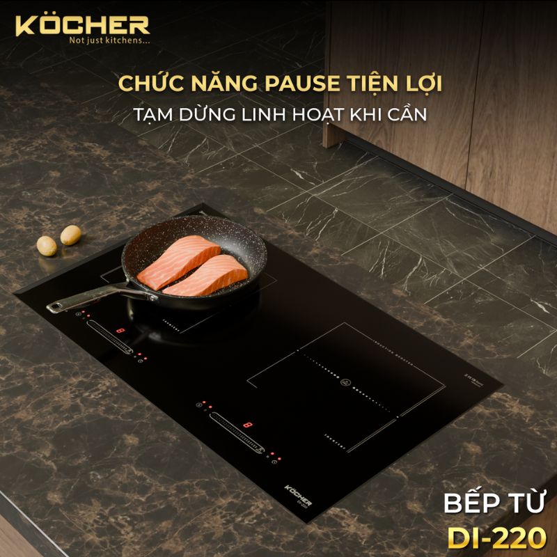 hinh-anh-bep-tu-2-vung-nau-kocher-di-220.jpg hinh anh bep tu 2 vung nau kocher di 220