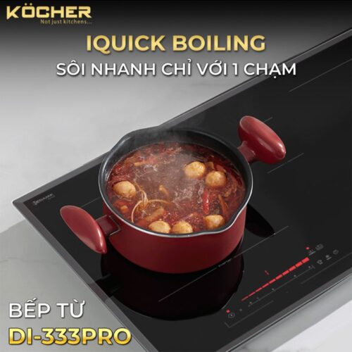 hinh anh bep tu 2 vung nau kocher di 333pro